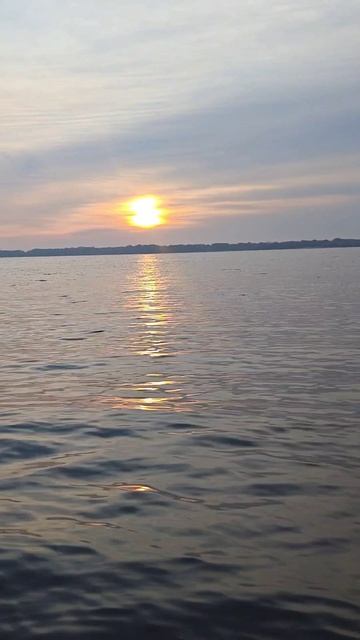 Волга Весна рыбалка