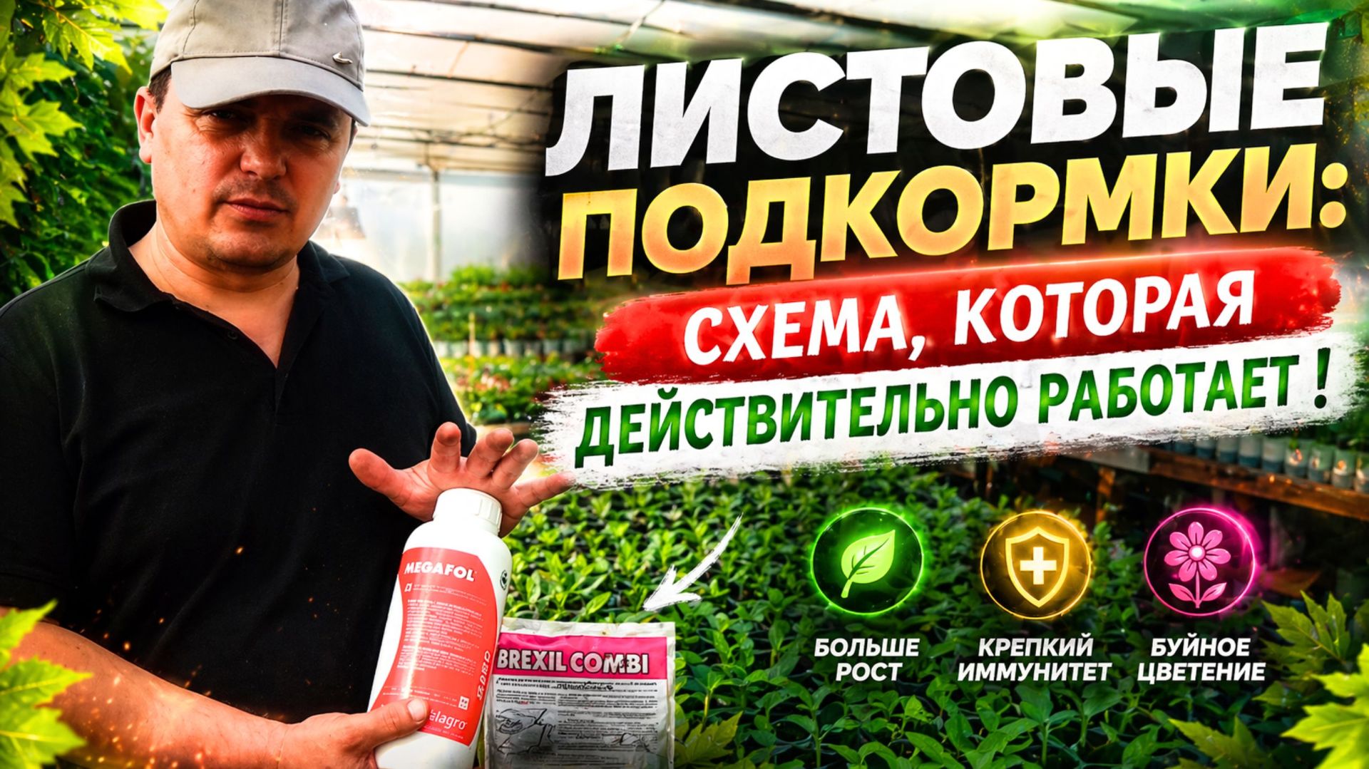 Как правильно делать листовые обработки чтобы растения усвоили максимум пользы.