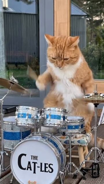 Пушистый металл