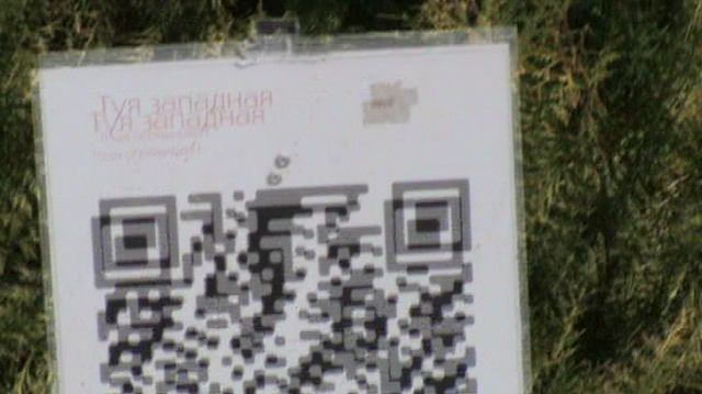 139)з ДЕНДАРИ ПАРК СОЧИ