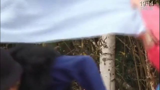 Ольга Леонардовна Постникова в программе «Судьба человека»