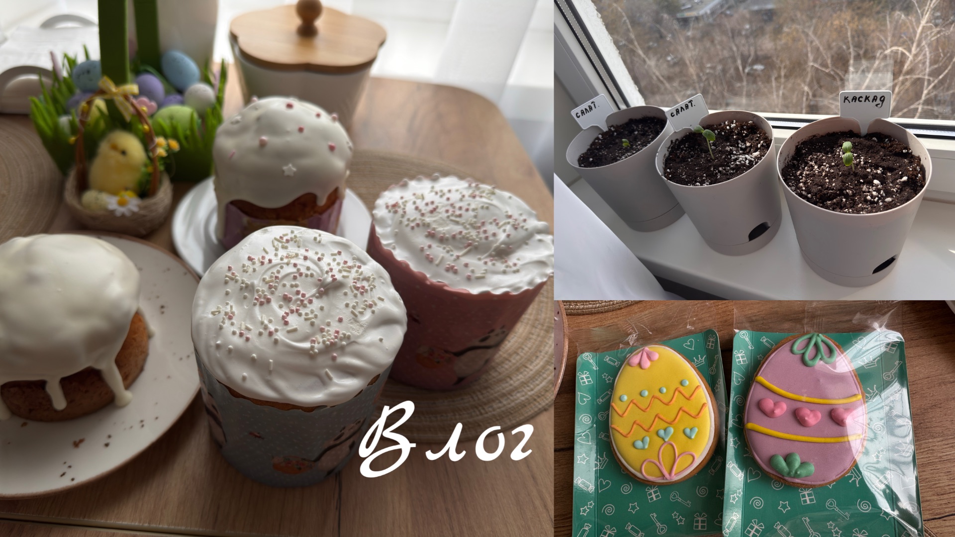 VLOG: посадила огурцы  пеку куличи  пасха