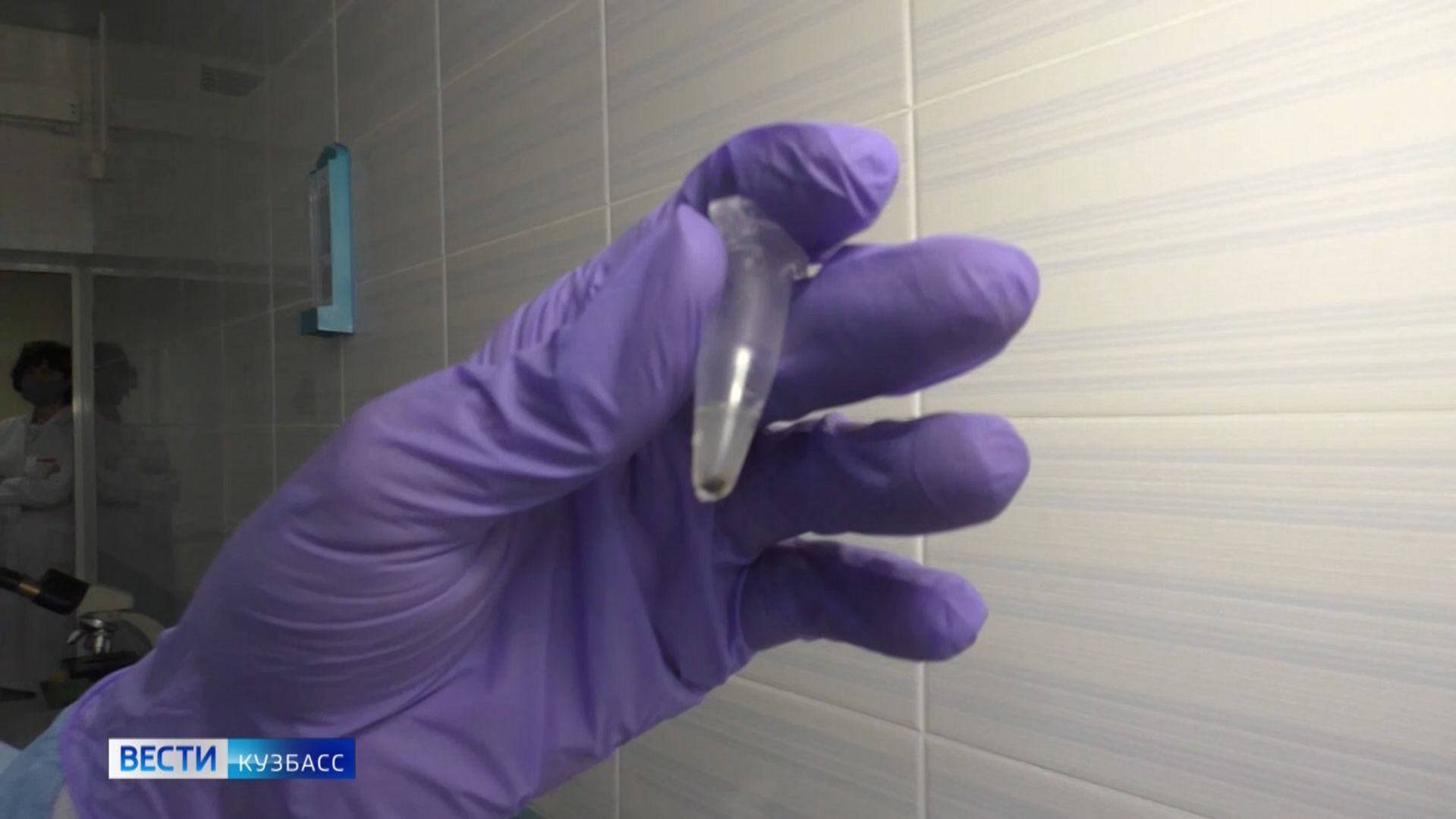 В Кузбассе активизировались клещи