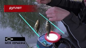 Херабуна. Карасёвый дуплет.