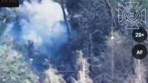 💥Очередная вражеская САУ 2С1 "Гвоздика" уничтожена в Сумской области