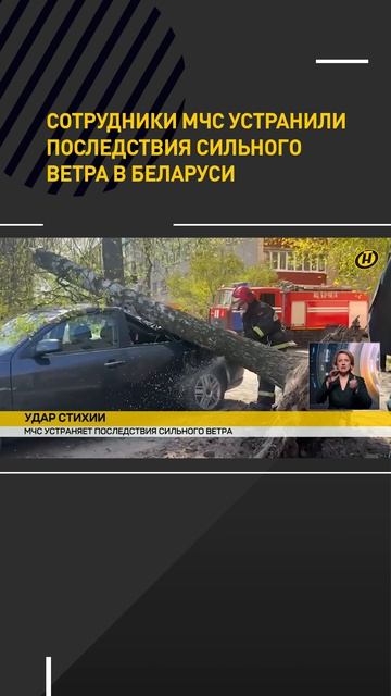 Сотрудники МЧС устранили последствия сильного ветра в Беларуси