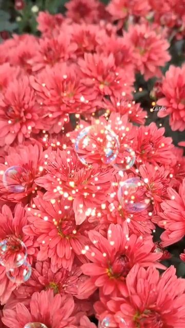 доброе утро