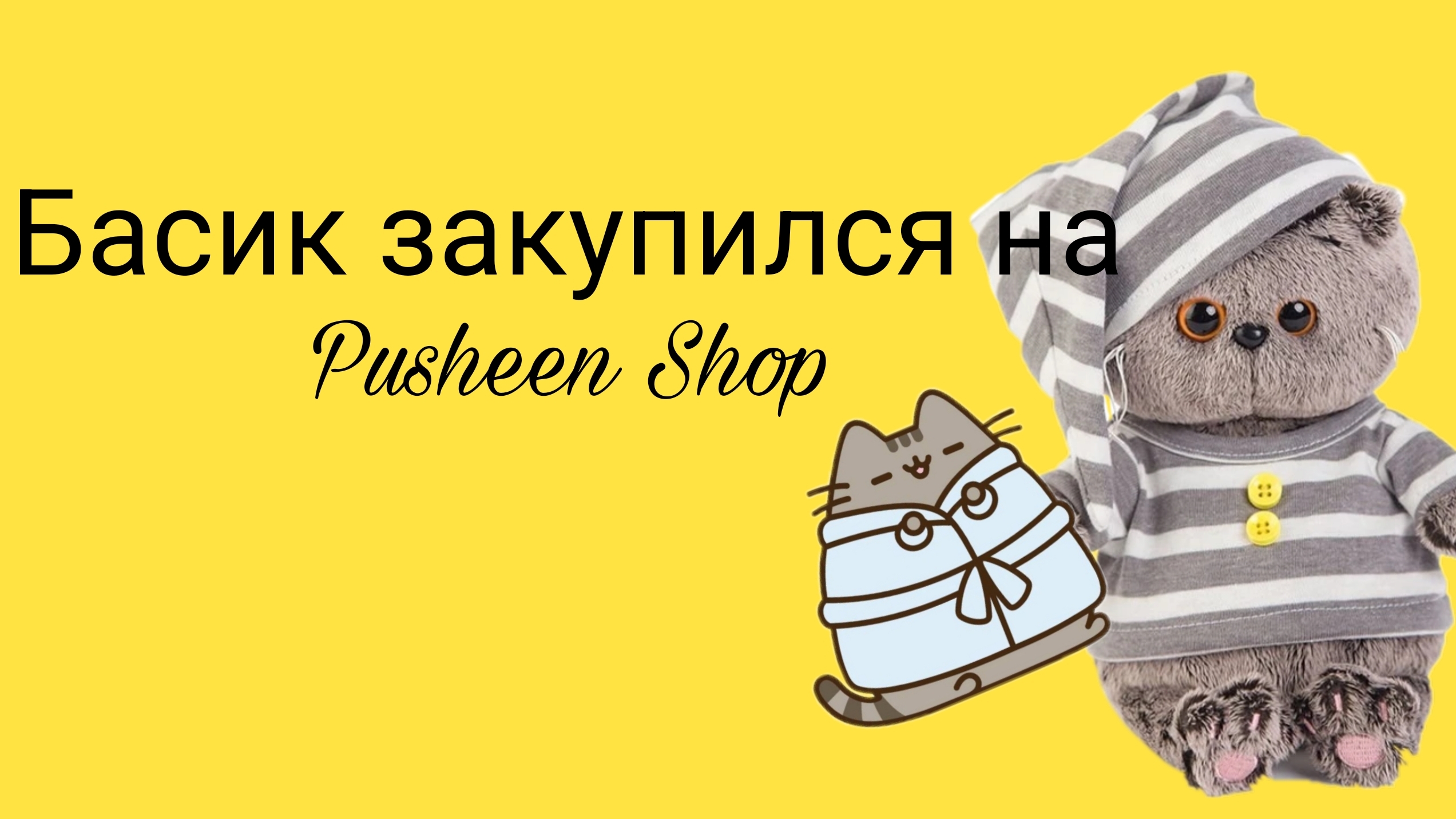 Басик закупился на Pusheen Shop✨