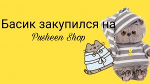 Басик закупился на Pusheen Shop✨