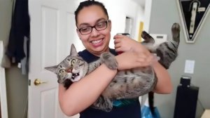 America′s Funniest Home Videos. Try Not to Laugh Challenge 😂 Funny Fails