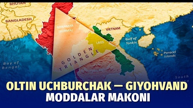 🍿 Oltin uchburchak — giyohvand moddalar makoni