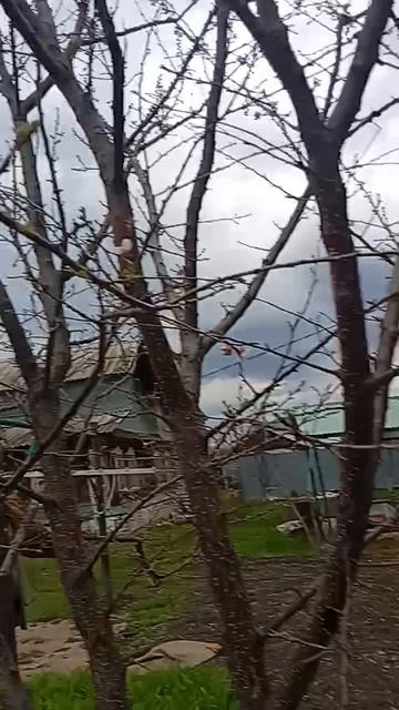 Небо плачет