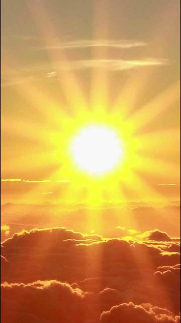 Бог сотворил весь мир