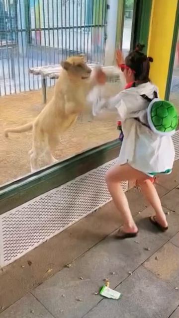 девушка танцует в зоопарке перед животными.она вернулась!сборник