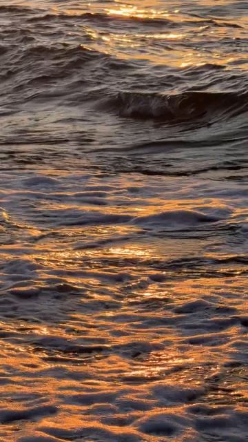 Море в золоте заката