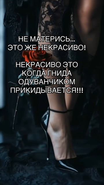 Правда жизни