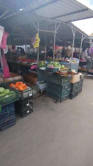 Цены рыба фрукты овощи на рынке в Таганроге