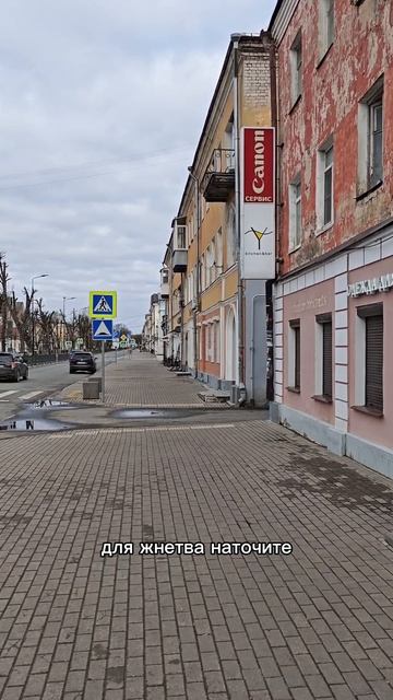 Россия г.Тверь 24.04.26 7:30 утра 3С Причитания от деда 