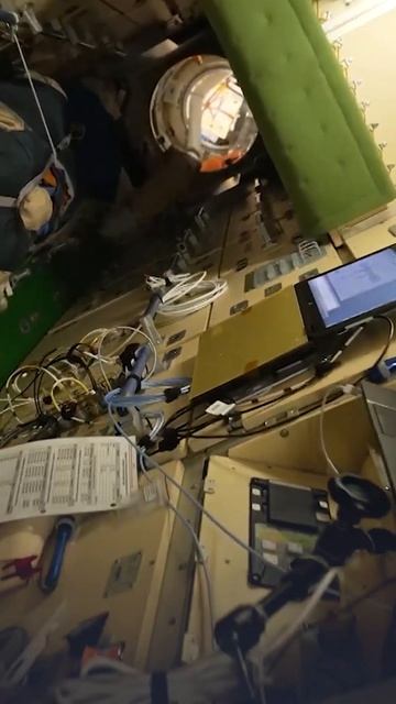 Диктант победы