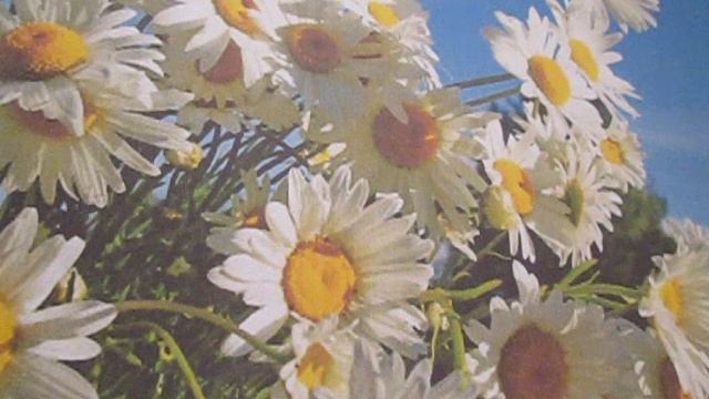 27 апреля - 3 мая