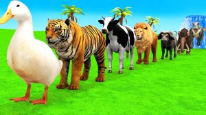 Мультики про диких животных. Животные и браинроты на испытаниях. Смотреть онлайн Мультики для детей.