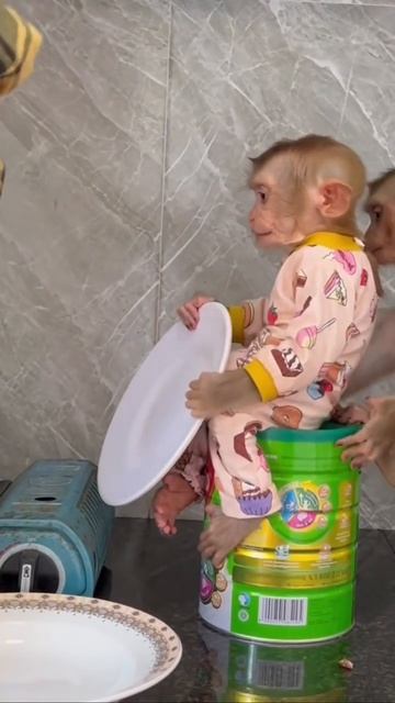 video_2026-03-03_10-07-00