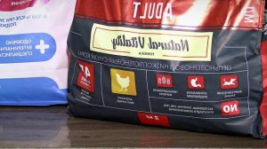 Как поддержать здоровье животных весной