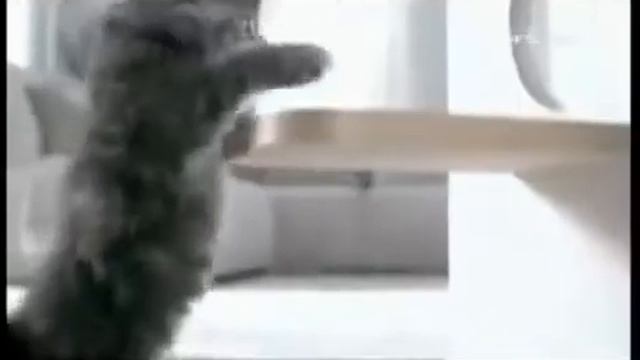 Рекламный блок Рен-ТВ Петербург 15.01.2014