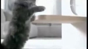 Рекламный блок (Рен-ТВ Петербург, 15.01.2014)