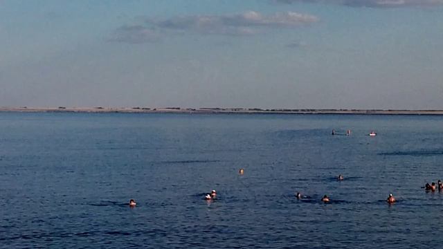 Яровое. Причалы 22 и 42. Цены на квартиры услуги кафе.