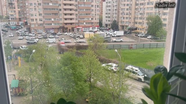 24-04-2026 МИСТИ 🐈⬛ КТО ХОЧЕТ БЫТЬ СПОНСОРОМ ОПЕРАЦИЯ СТЕРИЛИЗАЦИИ 🩷