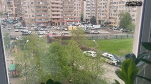 24-04-2026 МИСТИ 🐈⬛ КТО ХОЧЕТ БЫТЬ СПОНСОРОМ ОПЕРАЦИЯ СТЕРИЛИЗАЦИИ 🩷