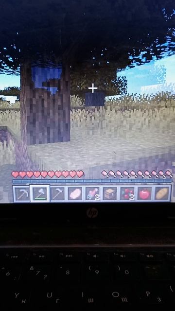 Я играю в Майнкрафт.2 часть выживание