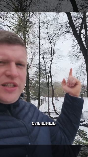 Прогноз погоды в Рязани.