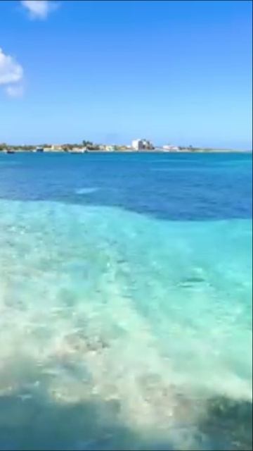 Шум океанских волн | Релакс для любителей моря 🌊