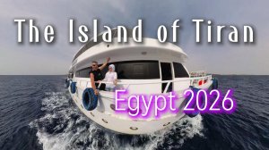 ОСТРОВ ТИРАН ЕГИПЕТ 🐬