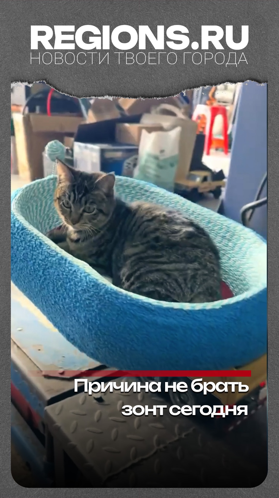 Причина не брать зонт сегодня