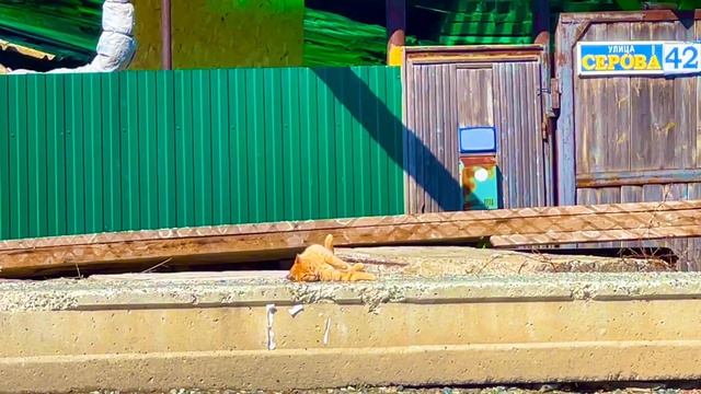 Город немного зеленеет😚🌳🌲🌱🌿🌼Асбест, Средний Урал🌿