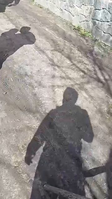 Мужик с вилами прогнал ТЦКашника