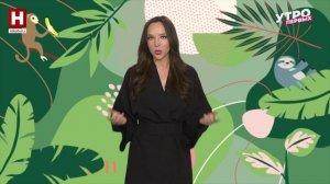 Животные — тёзки знаменитостей | ЗООМАНИЯ