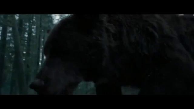 Бой с медведем