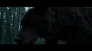 Бой с медведем