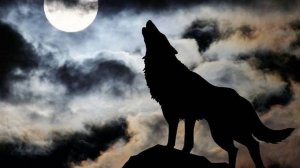 Моя песня "Волк", муз. и ст. - Ярош ( с - Ярослав Колесников, 2026) и популярный в роке образ волка