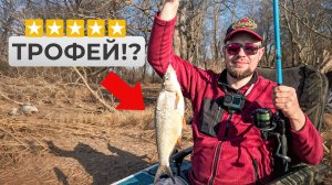ВОТ ЭТО РЫБАЛКА!!! ТРОФЕЙНАЯ СЫРТЬ НА ЛУГЕ!!! Рыбалка и Готовка на природе.