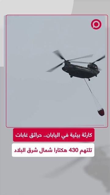 النيران تلتهم مئات الهكتارات من الغابات اليابانية.. حرائق هائلة تجتاح 430 هكتارا شمال شرق اليابان.