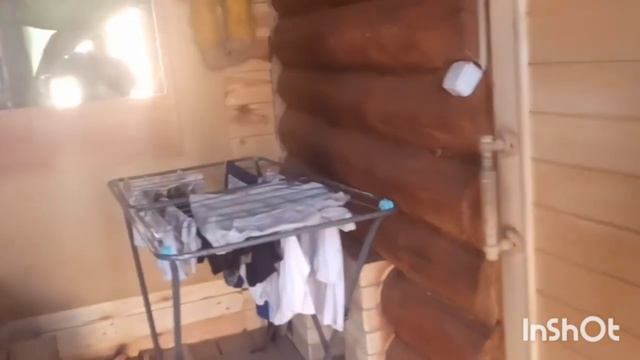 А что в теплице. Высадила вишню. Жизнь в деревне