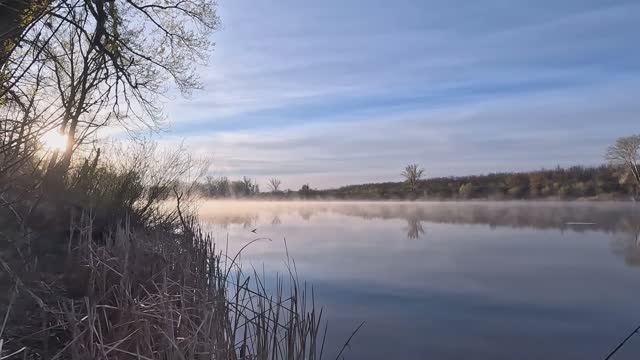 Для души. 22.04.26.