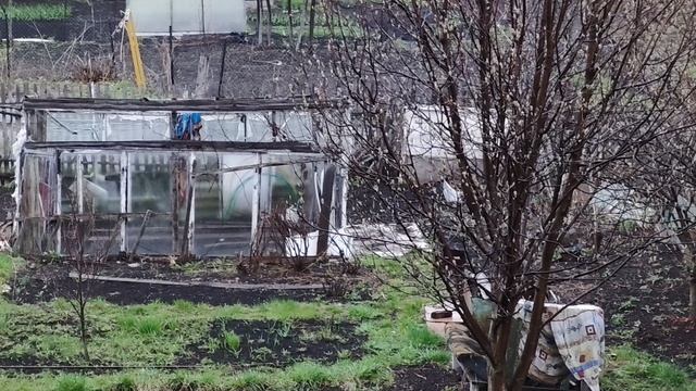 дождливый день в деревне весной