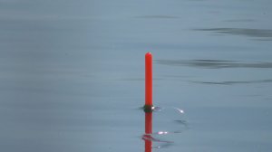 ЛОВЛЯ КАРАСЯ НА ПОПЛАВОК! РЫБАЛКА 2026