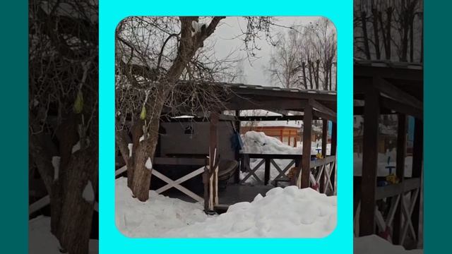 1000056988.mp4 (Собака наблюдает за устройством лестницы на 2-ой этаж в доме А-фрейм)